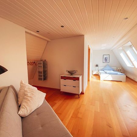 Rheinloft 3 - Grosse Giebelwohnung Mit Dachterrassen An Der Rheinpromenade Emmerich Exterior photo