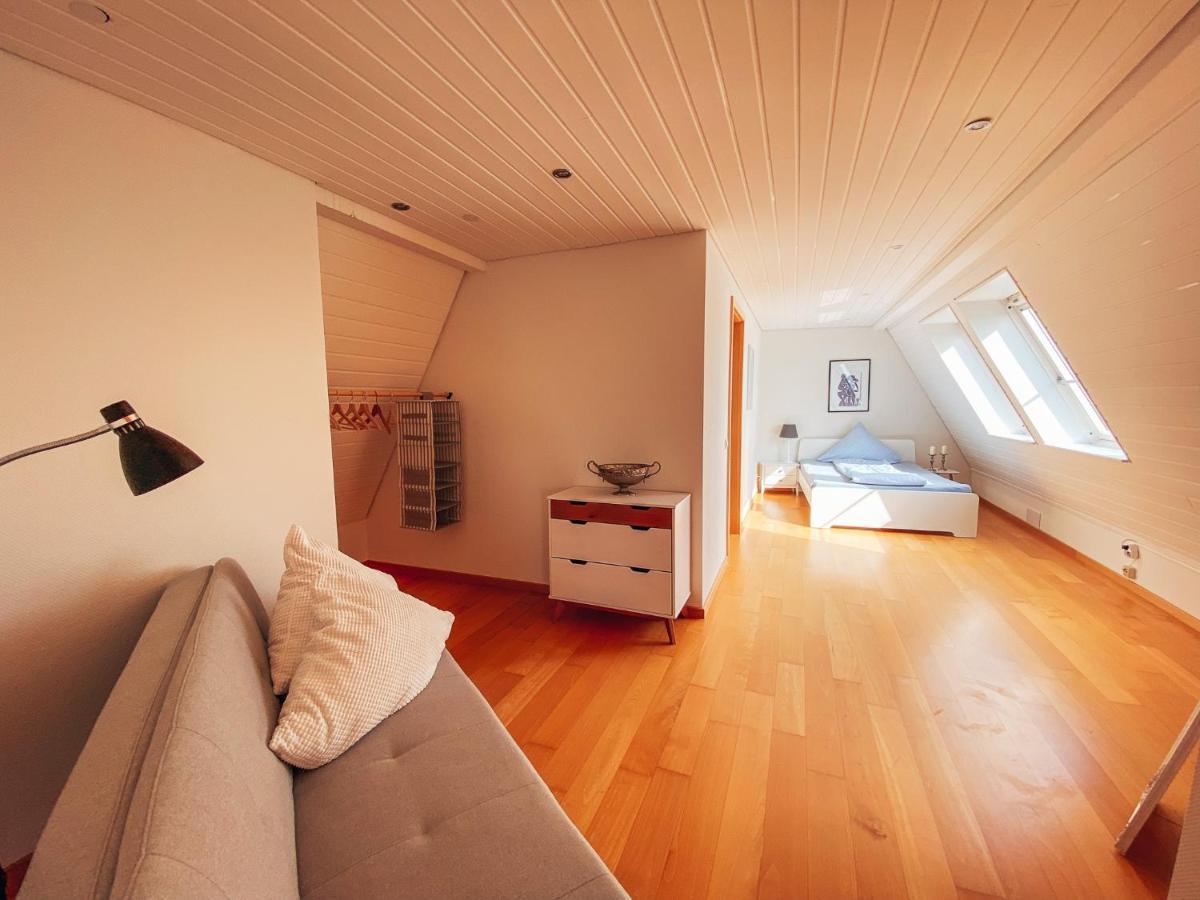 Rheinloft 3 - Grosse Giebelwohnung Mit Dachterrassen An Der Rheinpromenade Emmerich Exterior photo